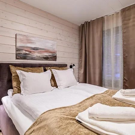 In Lapland - Sointuilevi Premium3 B65