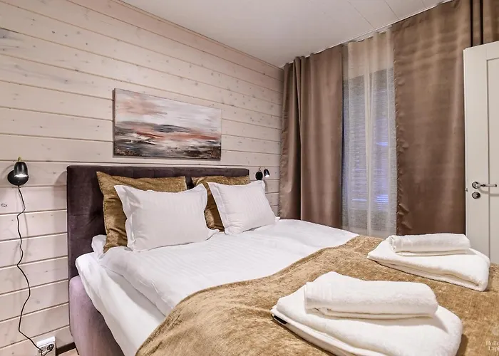 In Lapland - Sointuilevi Premium3 B65